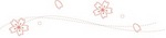 さくら　花びら流れ　Sakura petal flow